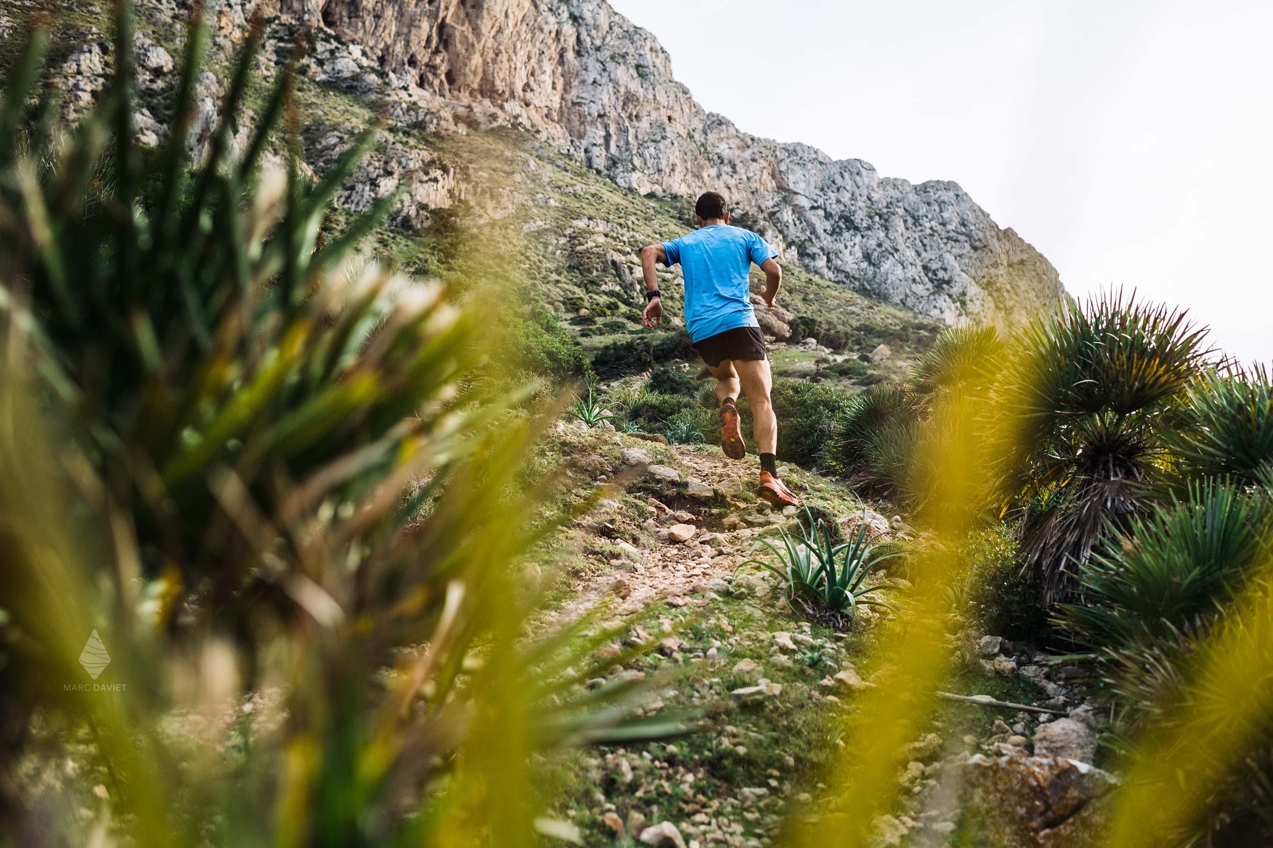 Running trails in Mallorca